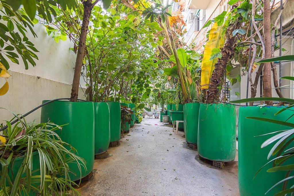 أثينا Vintage Style Apartment With Beautiful Backyard المظهر الخارجي الصورة